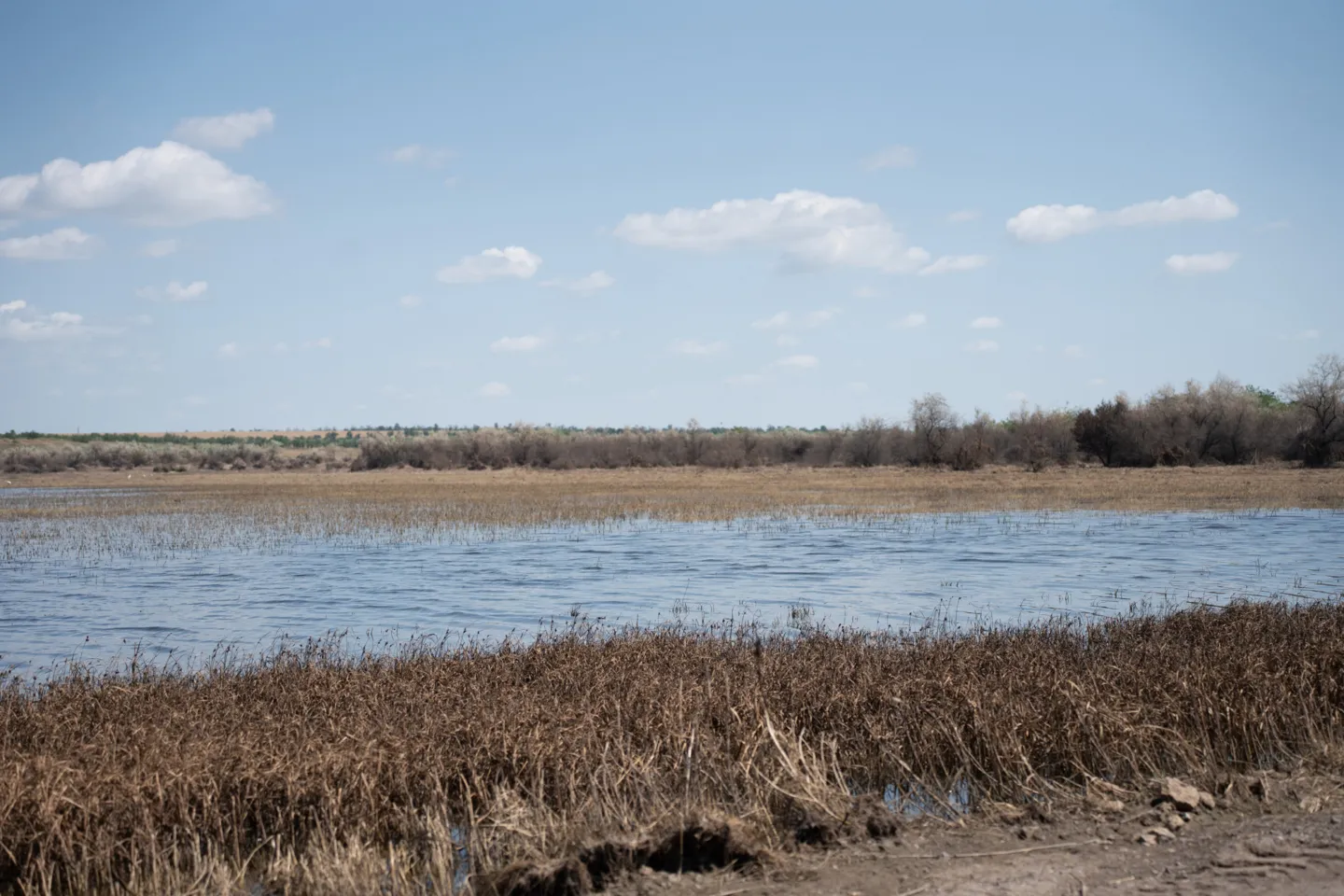 river bank overflowing