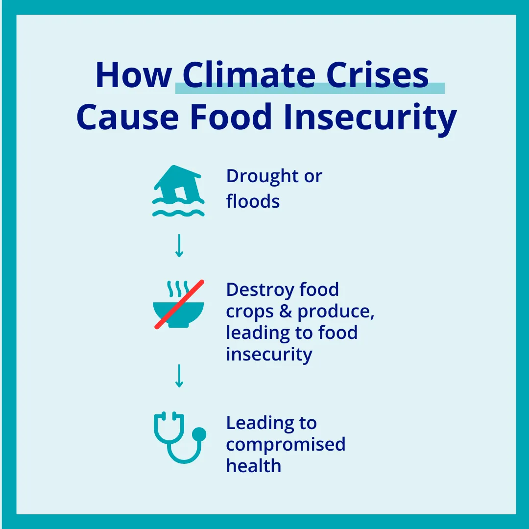 climate change and food insecurity graphic